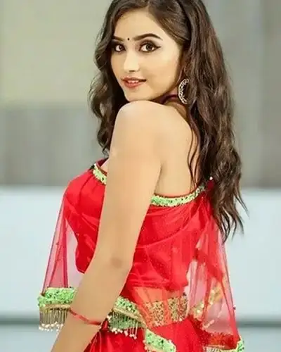 Call Girls Service Panthalur